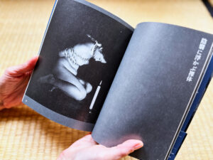 Seiu Ito Kinbaku Photos collecting Seiu Ito's "research photographs"